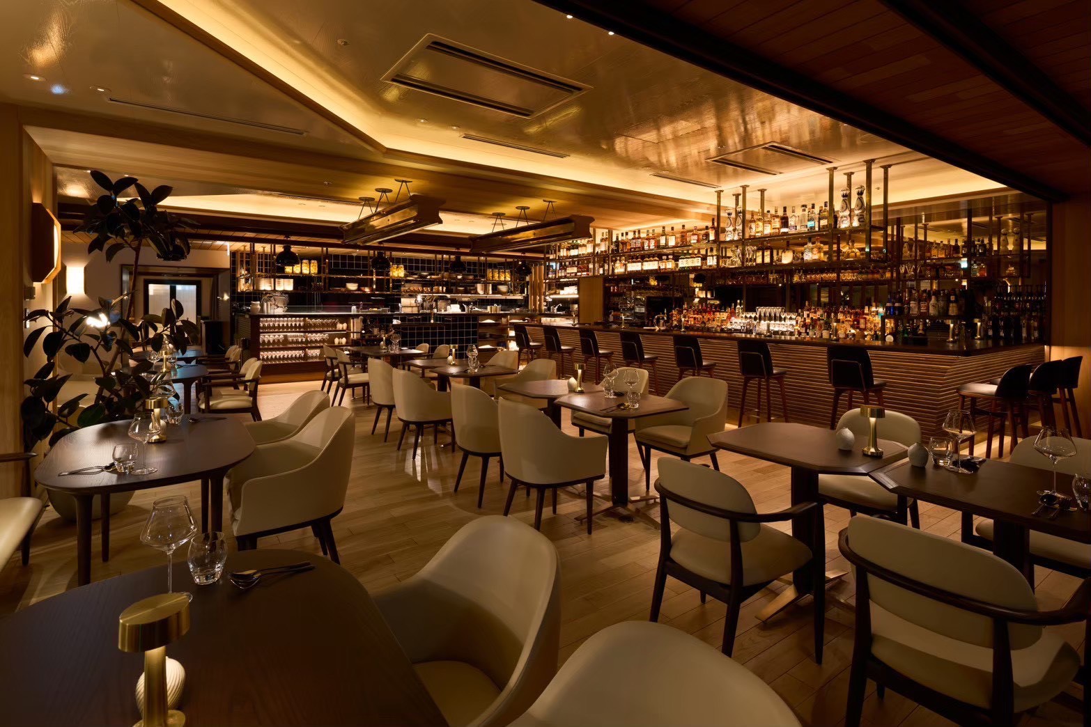 LINE_ALBUM_ステラワークス ビジュアル_251016_5.jpg LINE_ALBUM_ステラワークス ビジュアル_251016_5.jpg